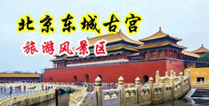 艹bbbb中国北京-东城古宫旅游风景区